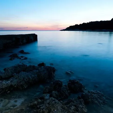 Blue Star Appartement