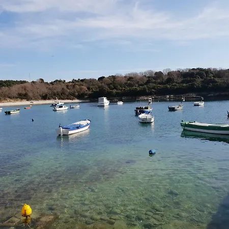 Blue Star Appartement *