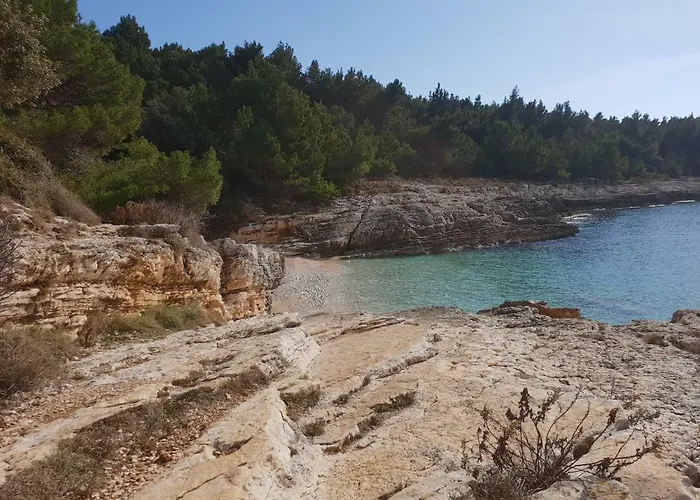 Appartement Blue Star