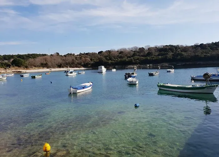 Blue Star Appartement *